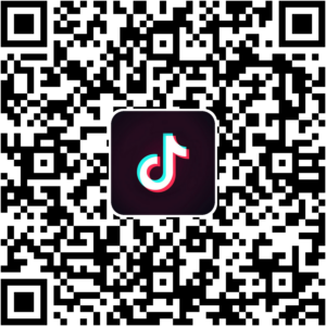 抖音小程序
